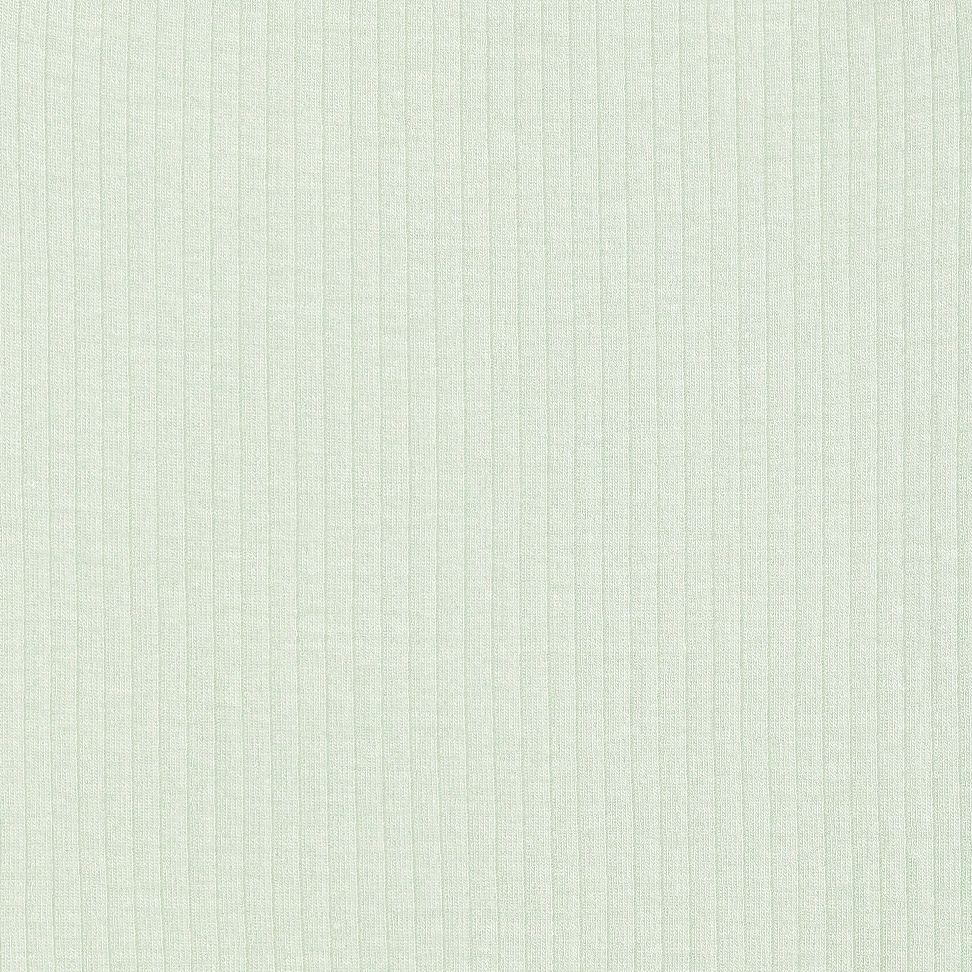 Short Sleeve Body Eucalyptus Ribbed mint | Lässig